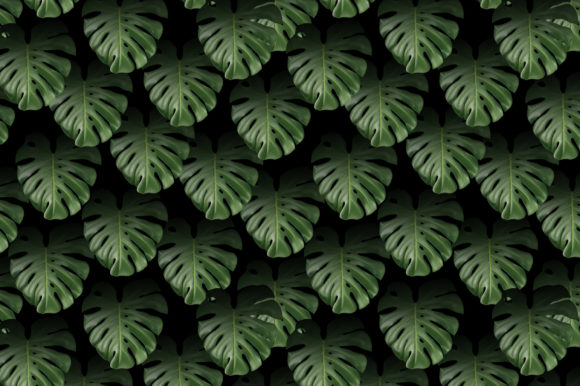 Discover the Versatility of Dark Monstera Leaves Seamless Pattern